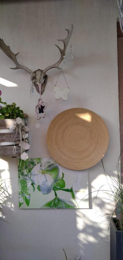 Osann-Monzel Apartment Altes Winzerhaus מראה חיצוני תמונה
