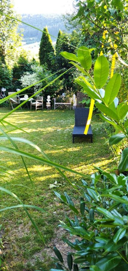 Osann-Monzel Apartment Altes Winzerhaus מראה חיצוני תמונה