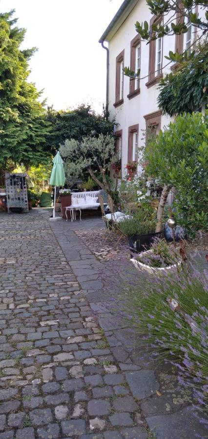 Osann-Monzel Apartment Altes Winzerhaus מראה חיצוני תמונה